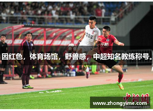 因红色，体育场馆，野兽感，中超知名教练称号。
